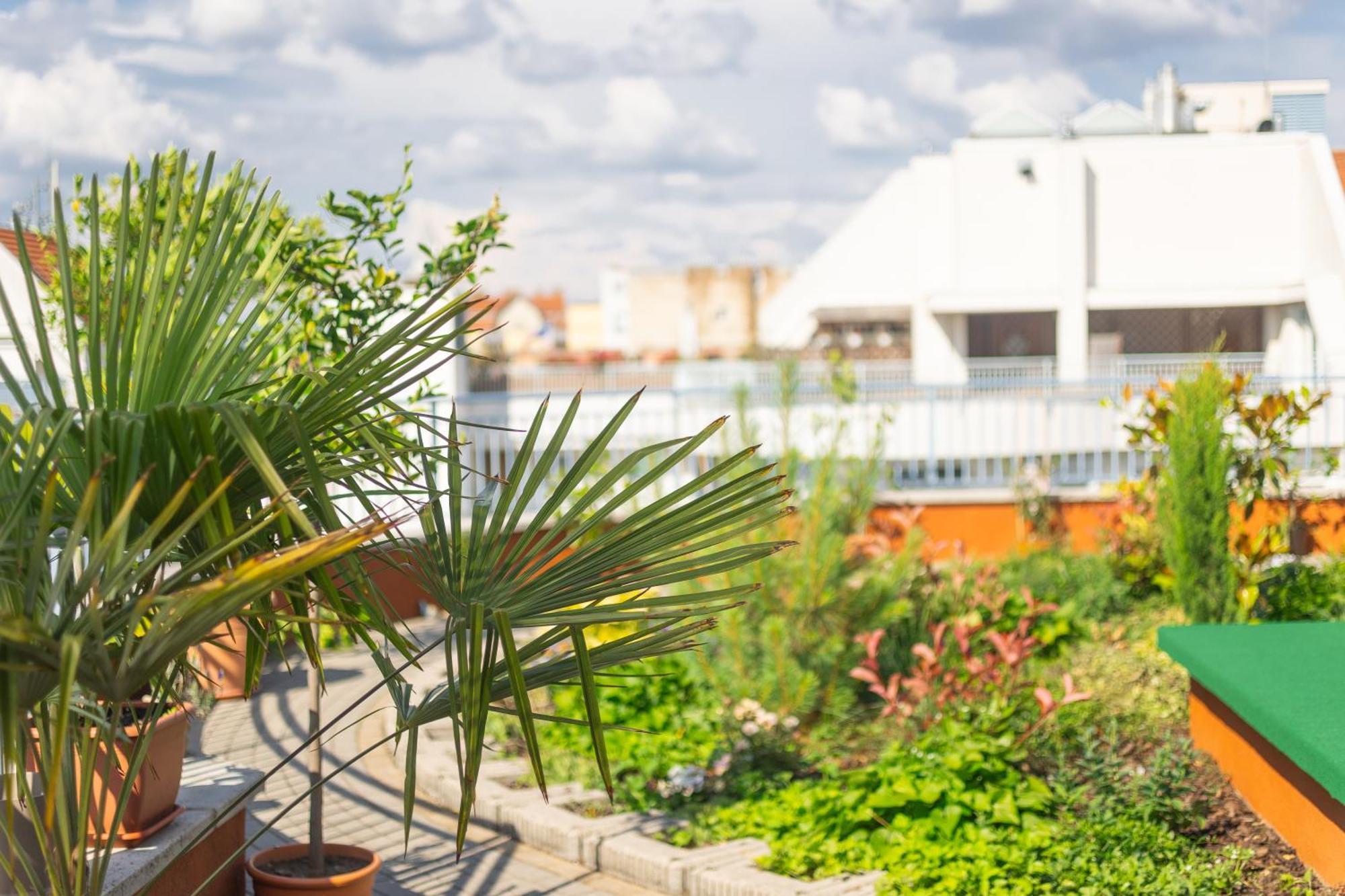 Rooftop City Residence With Deep Garage Budapest Eksteriør bilde